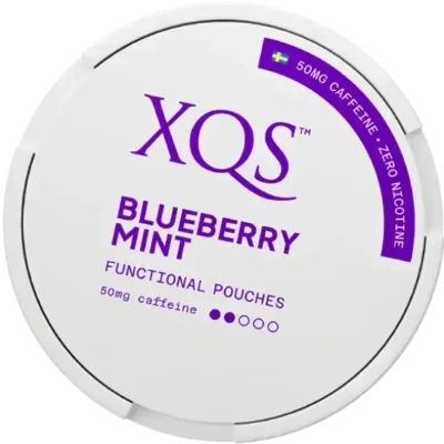 XQS: Blueberry Mint