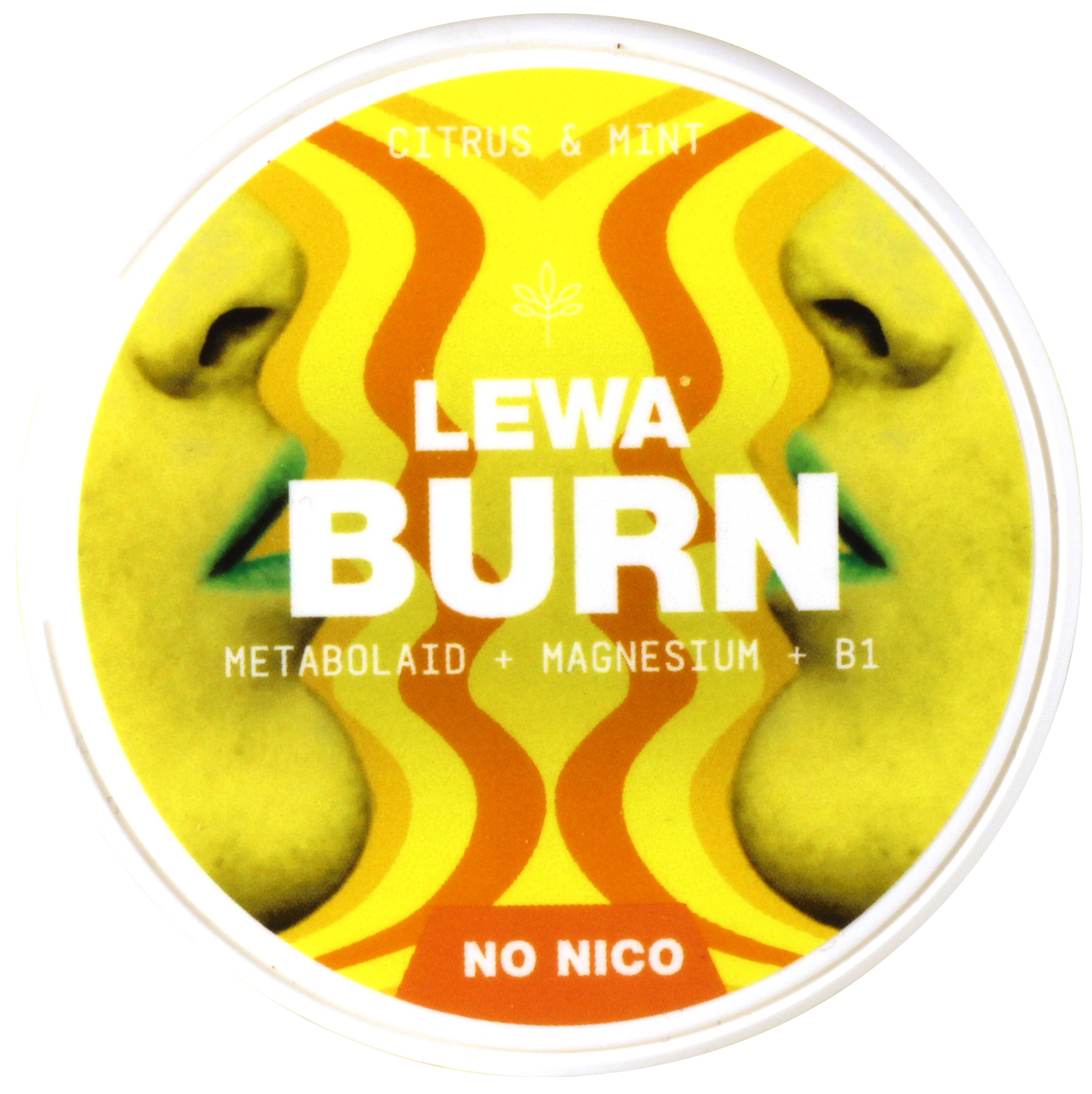 LEWA Burn: Citrus Mint